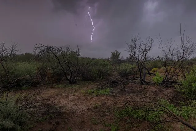 Lightning strikes a charred landscape, that burned in a major wildfire, during a monsoon thunderstorm on August 18, 2021 near Payson, Arizona. Unexpectedly heavy monsoon thunderstorms have brought a mix of some much needed drought relief as well as destructive rains. (Photo by David McNew/Getty Images)