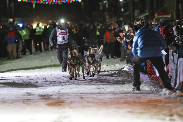 Alaska musher Dallas Seavey, 29, and his dog team run to the finish line of the Iditarod Trail Sled Dog race at 2:20 a.m. local time (10:20 GMT) to claim their fourth Iditarod champion title, in Nome, Alaska, March 15, 2016. Seavey claimed his third straight Iditarod Sled Dog Race title early on Tuesday morning, crossing the finish line in Nome ahead of his father, Mitch Seavey, for the second straight year. (Photo by Diana Haecker/Reuters/The Nome Nugget)