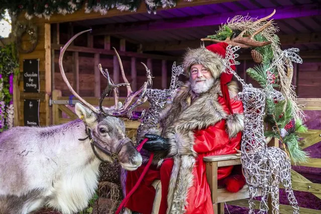 The Somerset Reindeer Ranch near Yeovil, England is offering in the second decade of December 2022 the chance to meet Father Christmas, along with Comet and his six other reindeer, before their big day in under two weeks. (Photo by Bournemouth News)