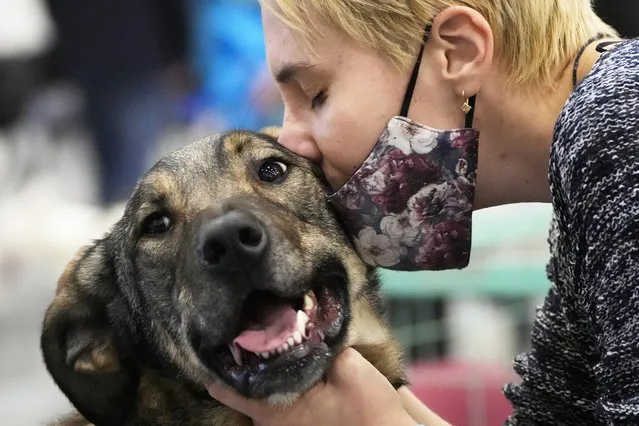A woman wearing a face mask to help curb the spread of the coronavirus kisses a dog at a dog show in St. Petersburg, Russia, Sunday, October 24, 2021. (Photo by Dmitri Lovetsky/AP Photo)