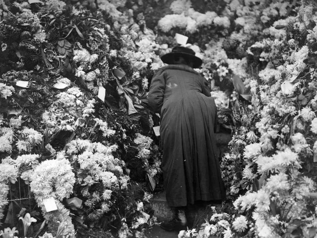 A  woman placing flowers at the Cenotaph in memory of the dead of the Great War, 11th November 1920. (Photo by Topical Press Agency/Getty Images)