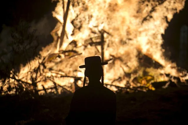 An ultra-Orthodox Jew looks at a bonfire as he and others celebrate the Jewish holiday of Lag Ba'Omer in Bnei Brak May 6, 2015. (Photo by Baz Ratner/Reuters)