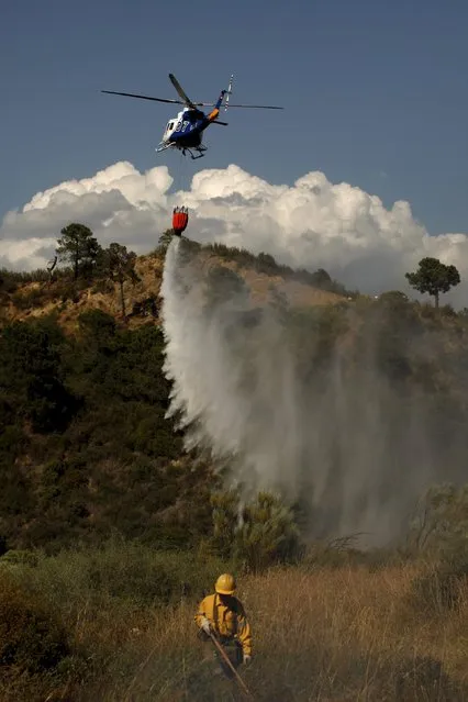 A helicopter drops water over a wildfire as a firefighter works to contain it in Benahavis, southern Spain, May 19, 2015. (Photo by Jon Nazca/Reuters)