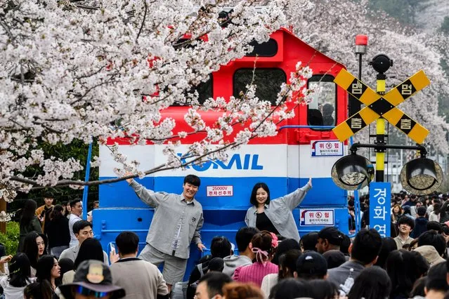 People pose for photos in front of an old Korail train on the disused Gyeonghwa Station railway track during the Jinhae Cherry Blossom Festival in Changwon on March 31, 2024, around 311 kilometres southeast of Seoul. The annual festival has been running since 1952. (Photo by Anthony Wallace/AFP Photo)