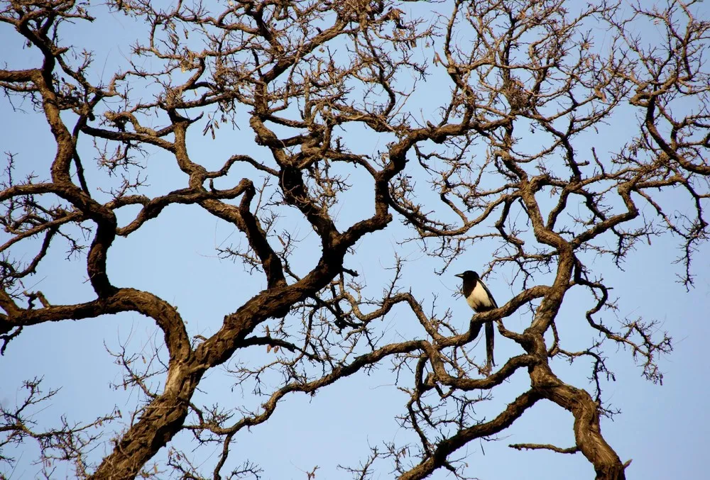 A Look at Life in China