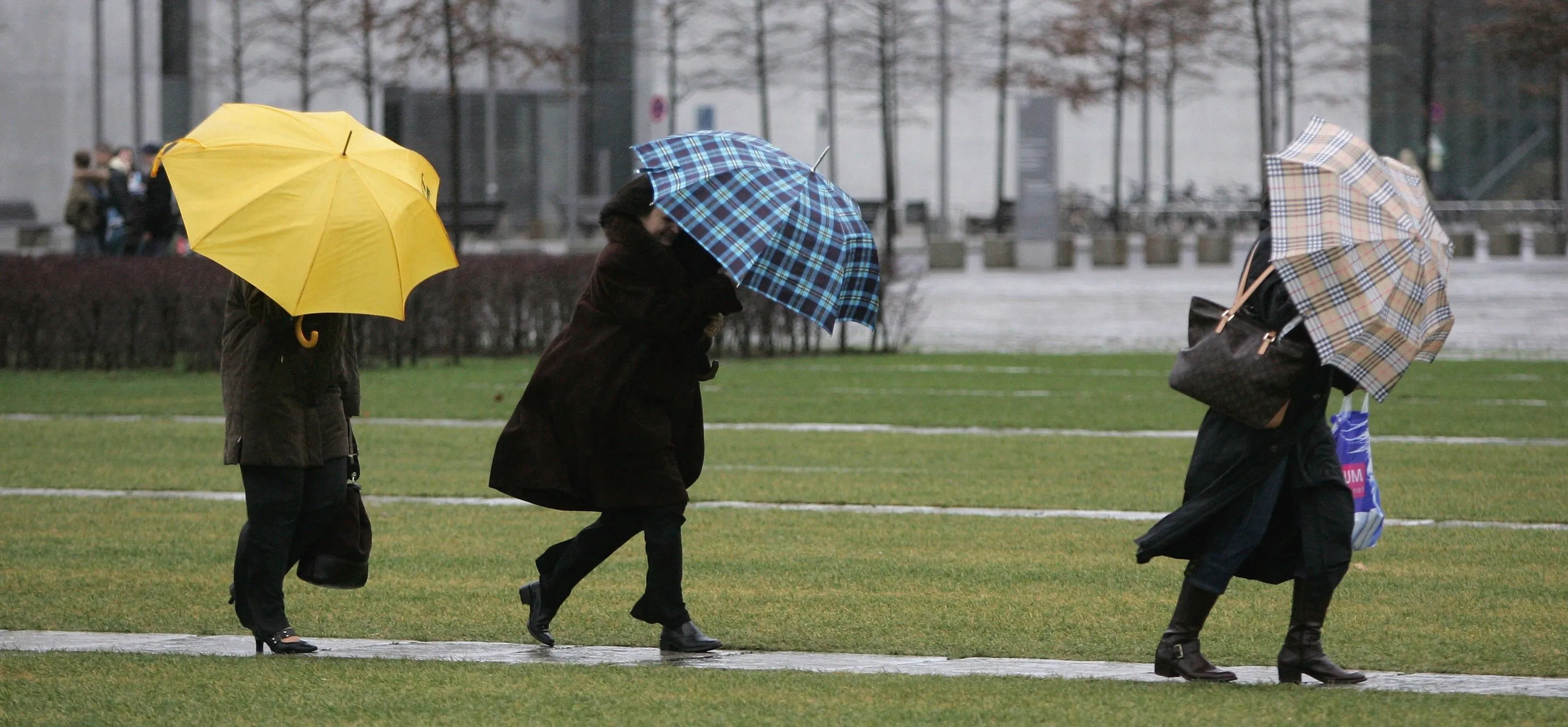 It is windy. Сильный ветер и человек. Windy weather. The Windy Day. Картинки Windy Day.