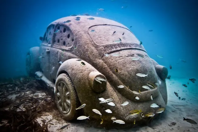 “Anthropocene”. Underwater Sculpture, Museo Subacuático de Arte, Cancun. (Photo by Jason deCaires Taylor/UnderwaterSculpture)