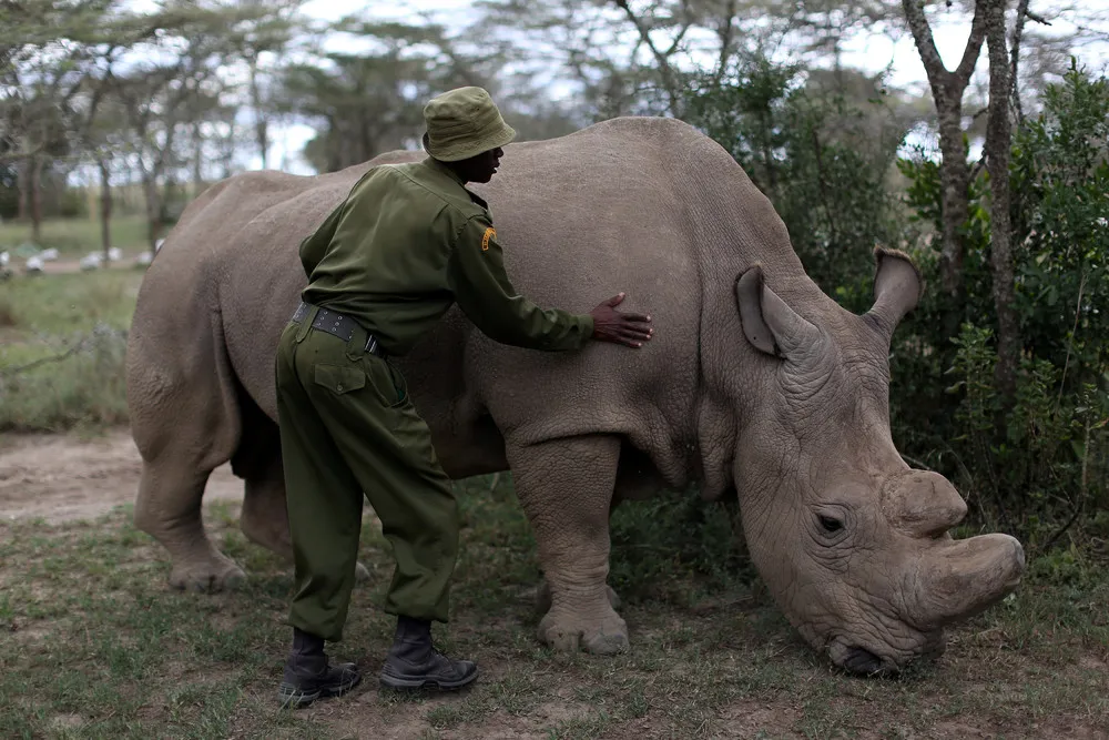 Tackling Poaching in Kenya