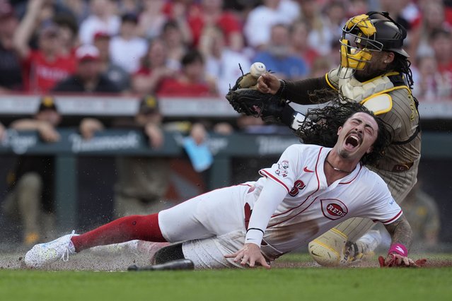 Cincinnati Reds' Jonathan India reacts as he collides with San Diego Padres catcher Luis Campusano during the second inning of a baseball game Tuesday, May 21, 2024, in Cincinnati. India was safe and Campusano was charged with an error. (Photo by Carolyn Kaster/AP Photo)