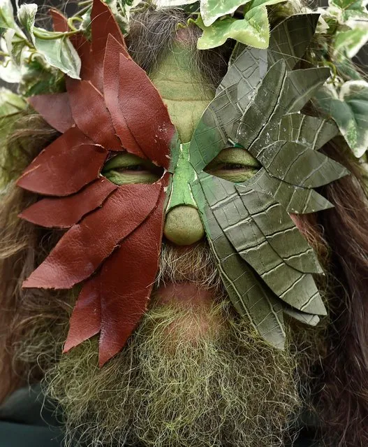 A participant takes part in the annual Jack In The Green parade involving hundreds of costumed revellers joining a four hour procession culminating in the traditional “slaying” of a Jack character to “unleash the spirit of summer” on the May Day week end, in Hastings, southern Britain, May 2, 2016. (Photo by Toby Melville/Reuters)