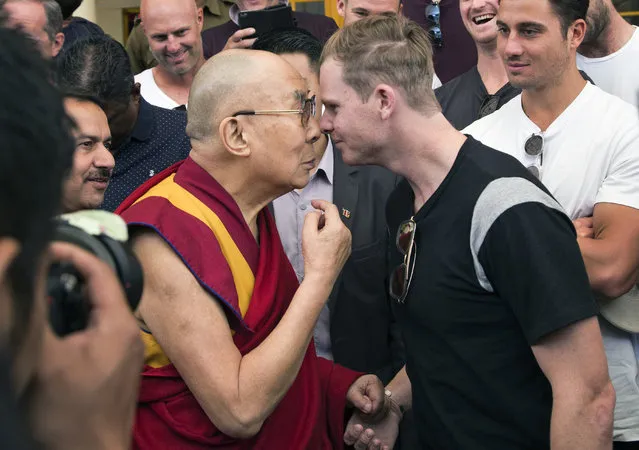 Tibetan spiritual leader the Dalai Lama rubs noses with Australian cricket team captain Steven Smith during an interaction with the team at the Tsuglakhang temple in Dharmsala, India, Friday, March 24, 2017. (Photo by Ashwini Bhatia/AP Photo)