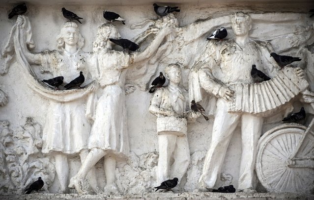 Pigeons sit on a bas-relief depicting a scene from the Soviet life of the middle of the 20-th century located at the entrance to one of metro stations in Moscow on July 2, 2024. (Photo by Alexander Nemenov/AFP Photo)