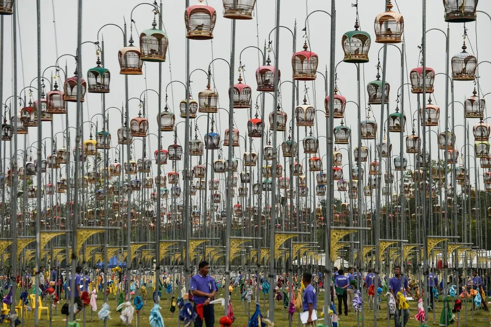 A Look at Life in Thailand