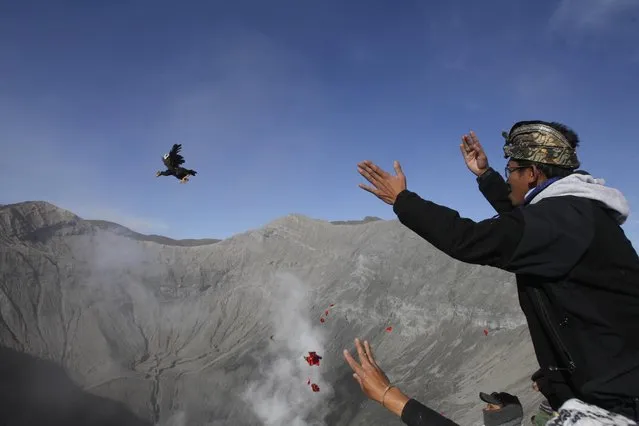 A worshipper throws chicken into the crater of Mount Bromo as an offering to the gods during Yadnya Kasada festival in Probolinggo, East Java, Indonesia, Saturday, August 1, 2015. (Photo by AP Photo/Trisnadi)