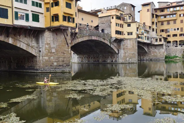A man paddles his kayak on the Arno River which has low water levels due to drought conditions in Florence, Italy, 24 July 2017. Scarce rain has led to concerns about water supplies in many parts of Italy and according to the Italian farmers' lobby Coldiretti, harsh temperatures have caused an estimated two billion euros (2.3 billion US dollars) worth of damage to the Italian agricultural sector. (Photo by Maurizio Degl Innocenti/EPA)