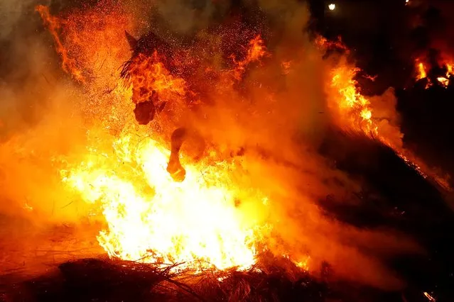 A rider goes through flames during the annual “Luminarias” celebration on the eve of Saint Anthony's day, Spain's patron saint of animals, in the village of San Bartolome de Pinares, northwest of Madrid, Spain, January 16, 2020. (Photo by Juan Medina/Reuters)