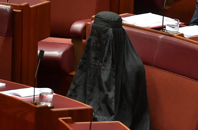 Australian One Nation party leader, Senator Pauline Hanson wears a burqa in the Senate chamber at Parliament House in Canberra, Australia, August 17, 2017. (Photo by Mick Tsikas/Reuters/AAP)