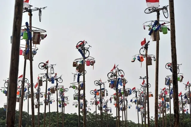 Flags and various prizes, including bicycles, sit at the top of poles before that start of a local competition called “panjat pinang” in which people try to climb greased poles to get the prizes, during an event to celebrate Indonesia's Independence Day in Jakarta on August 17, 2014. (Photo by Adek Berry/AFP Photo)