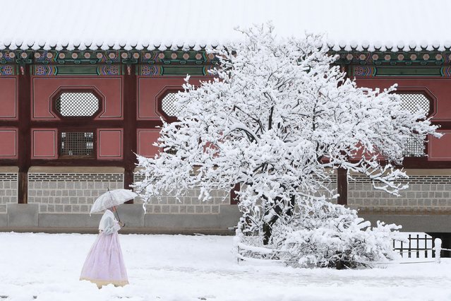 A woman walks along the Gyeongbok Palace on November 27, 2024 in Seoul, South Korea. According to the state weather agency, more than 16 centimeters of snow blanketed capital city Seoul on Wednesday, marking the biggest snowfall in November since modern weather observations began in 1907. (Photo by Chung Sung-Jun/Getty Images)