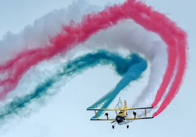 Scandinavian wingwalking duo “Skycats” perform during the “Catwalk” airshow on a Grumman-164A aircraft at the Slovak International Air Fest SIAF 2014 at the Slovak Airforce Base of Sliac on August 30, 2014. (Photo by Joe Klamar/AFP Photo)