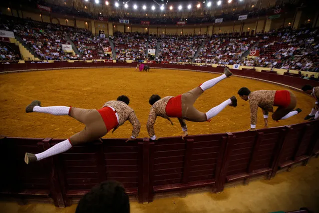 Members of Santarem forcados group perform during a bullfight at Campo Pequeno bullring in Lisbon, Portugal August 25, 2016. (Photo by Rafael Marchante/Reuters)