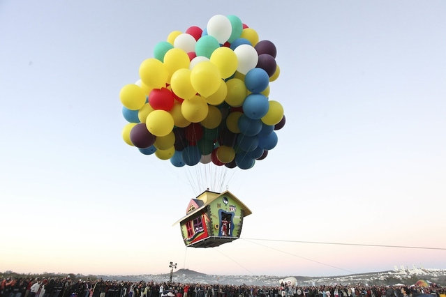 Real-life Up House Flys