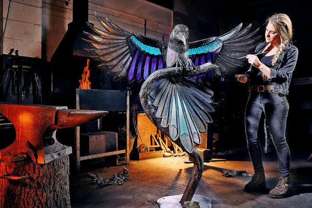 Artist Blacksmith Katie Ventress adds on June 9, 2025 the finishing touches to Iridescent Omen, a striking sculpture of a magpie created in collaboration with Glass Artist Janet Fraser. Made at Ventress's studio near Whitby, UK the piece will feature in the Newby Hall Sculpture Trail, which runs from 20 June to 28  September 2025  and showcases work by leading contemporary artists in the historic gardens of the North Yorkshire estate. (Photo by James Glossop/The Times & Sunday Times)