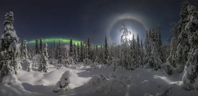 In a series of stunning images, Vitaly Istomin managed to capture the aurora borealis streaking in waves across the sky, with a bright moon lighting up the snow below. (Photo by Vitaly Istomin/Caters News Agency)