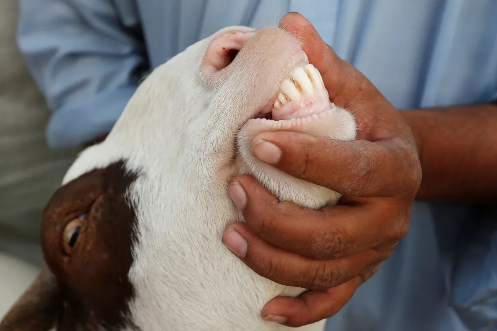 A Look at Life in Pakistan