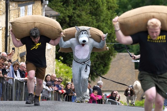 Joel Hicks, center, dressed as a wolf and carrying a 60lb Woolsack runs with his dog Jessica during the annual Tetbury Woolsack Races in Tetbury, England, Monday, May 27, 2024. (Photo by Kin Cheung/AP Photo)