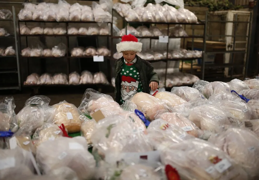 Turkey and Dressed Poultry Auction in England