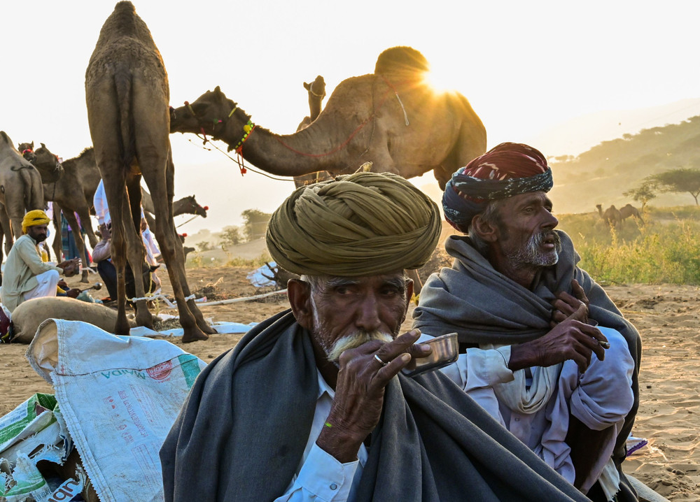 A Look at Life in India