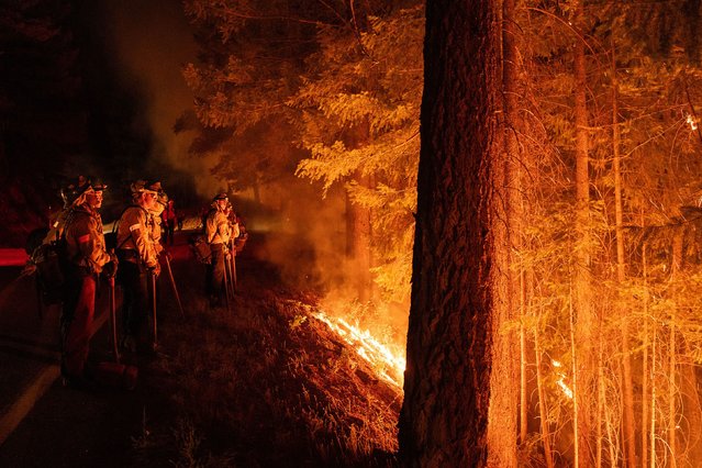 Firefighters monitor a controlled burn set along Highway 32 near Chico, California, on Monday, July 29, 2024. They were trying to reduce fuel for the Park Fire, which is now the fifth-largest wildfire in state history. (Photo by Loren Elliott/The New York Times/Redux)