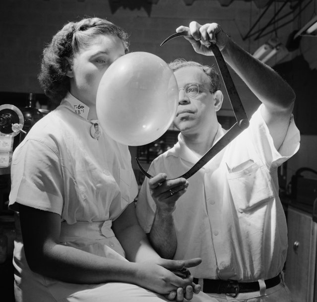 Dr. Morris Nafash, whose job it is as research director for the Bazooka Bubble Gum Company to test the texture and elasticity of the gum and to develop new flavors, uses an outside caliper to measure a bubble blown by Josephine Zack on September 16, 1949 in New York.   Dr. Nafash, 49, from Brooklyn, came to his post after eleven years as research associated of Columbia University's department of chemical engineering.  He blows about a hundred bubbles a day and thinks it isn't probable that kids will ever blow bubbles much bigger than at present because “the kid's face gets in the way”. (Photo by Harry Harris/AP Photo)
