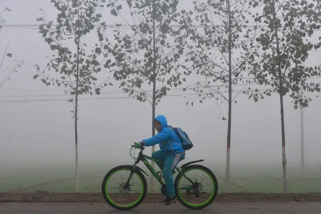 A boy rides along a road in thick fog in Liaocheng, Shandong province, China, October 25, 2016. (Photo by Reuters/China Daily)