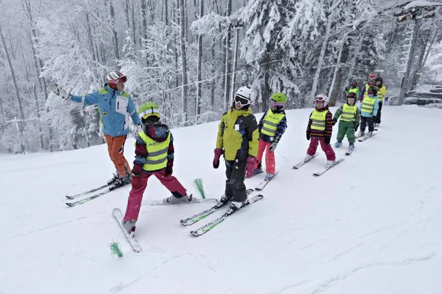 Children attend alpine skiing lesson during World Snow Day event in Sigulda, Latvia, January 17, 2016. (Photo by Ints Kalnins/Reuters)