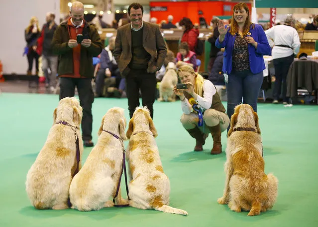 Owners take photographs of their dogs during the first day of the Crufts Dog Show in Birmingham, central England, March 5, 2015. (REUTERS/Darren Staples)  
