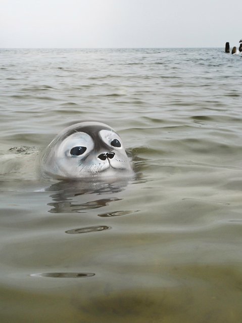 Gesine also takes her models and body art to the water as a model holds her breath to dive under water and look like a seal popping it's head out of water, Dortmund, Germany, October, 2016. (Photo by Gesine Marwedel/Barcroft Images)
