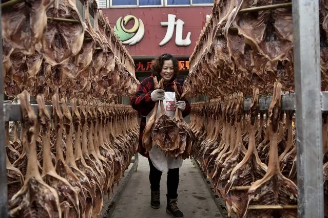A saleswoman holds salted dried ducks as she walks in between shelves ahead of the upcoming Chinese Lunar New Year, outside a store in Pengzhou, Sichuan Province, China, January 18, 2016. (Photo by Reuters/Stringer)
