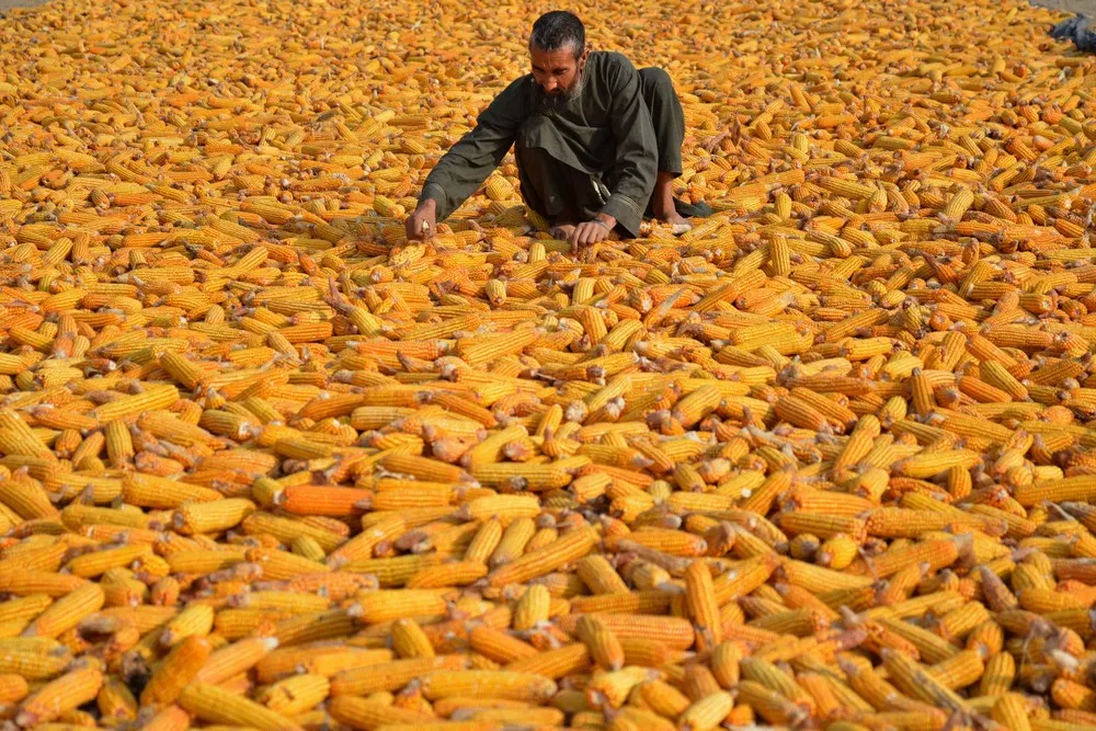 A Look at Life in Afghanistan