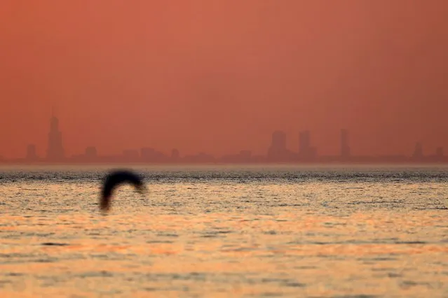 The Chicago skyline appears through haze emitted from the American West, Tuesday, July 27, 2021, in Indiana Dunes State Park, in Indiana. Wildfires in the American West, including one burning in Oregon that's currently the largest in the U.S., are creating hazy skies as far away as New York. (Photo by Shafkat Anowar/AP Photo)
