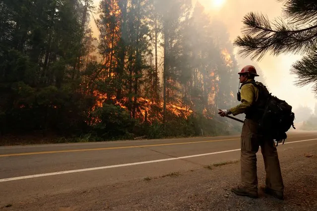 Firefighter David Molter monitors the progress of flames that were burning along a roadway at the Dixie Fire, a wildfire near the town of Greenville, California, U.S. August 5, 2021. (Photo by Fred Greaves/Reuters)