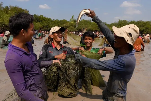 A Cambodian man (R) raises a snake fish up during the annual fish-catching ceremony at Choam Krovean commune in Tboung Khmum province on February 10, 2019. Wielding handmade bamboo baskets and nylon nets, hundreds of people waded thigh-deep into a muddy lake in eastern Cambodia on February 10 for an annual fish-catching ceremony in which only traditional tools were used. (Photo by Tang Chhin Sothy/AFP Photo)