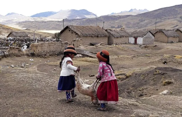 Girls carry a dying sheep in the Cconchaccota community of the Apurimac region in Peru, Saturday, November 26, 2022 amid an ongoing drought. The lagoon located at 4,100 meters above sea level has been a source of trout, fun for children eager to swim, beauty as flamingos flew from over the mountains and water for thirsty sheep. Nowadays, however, an ongoing drought has dried up the lagoon. (Photo by Guadalupe Pardo/AP Photo)