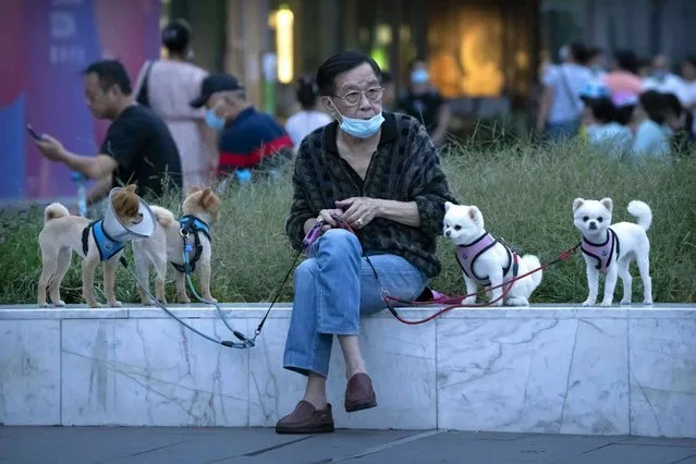 A man wearing a face mask to protect against COVID-19 sits with dogs on leashes near a neighborhood with a suspected coronavirus case in Beijing, Wednesday, September 15, 2021. China tightened lockdowns and increased orders for mass testing in cities along its east coast Wednesday amid the latest surge in COVID-19 cases. (Photo by Mark Schiefelbein/AP Photo)