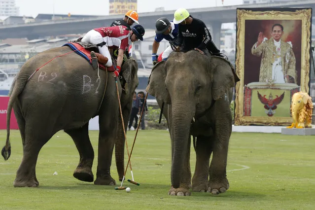 Players take part in an exhibition match during the annual charity King's Cup Elephant Polo Tournament at a riverside resort in Bangkok, Thailand March 10, 2016. (Photo by Jorge Silva/Reuters)