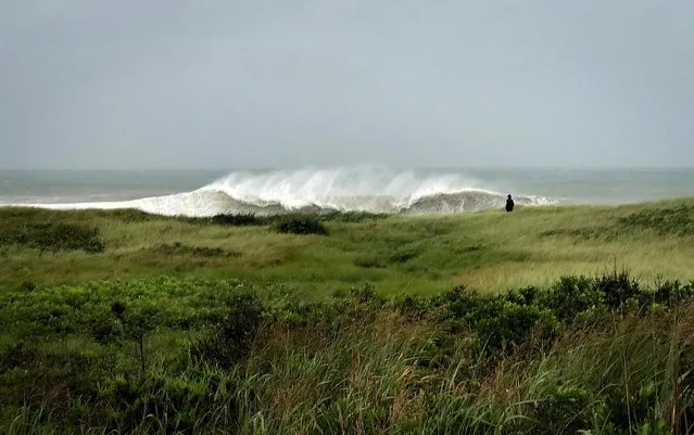 A person walks in the sand dunes as heavy surf rolls onto the south shore of Martha's Vineyard island, as Tropical Storm Henri approaches the New England coast in West Tisbury, Massachusetts, U.S., August 22, 2021. (Photo by John Segar via Reuters)
