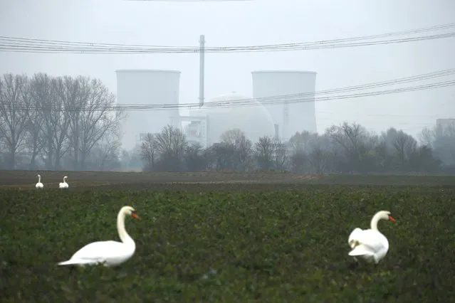 General view of the nuclear power plant in Biblis near Frankfurt, Germany March 15, 2016. (Photo by Ralph Orlowski/Reuters)