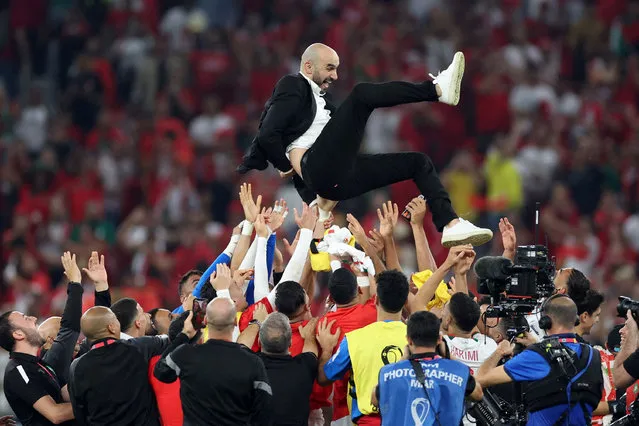 Morocco head coach Walid Regragui is tossed up by his players after a 1-0 victory over Portugal in a World Cup quarterfinal football match at Al Thumama Stadium in Doha, Qatar, on December 10, 2022. (Photo by Carl Recine/Reuters)
