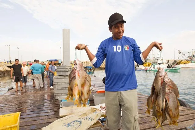 A fisherman poses while holding fish at the Artisanal Fishing Port in Jaramijo May 19, 2015. (Photo by Guillermo Granja/Reuters)